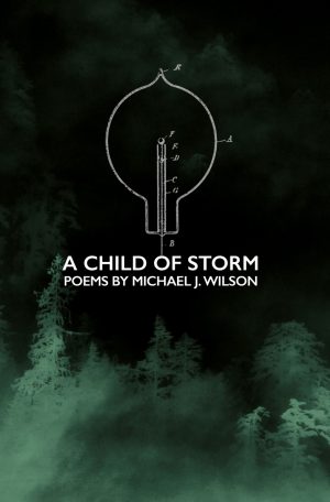 A Child of Storm poems by Michael J. Wilson