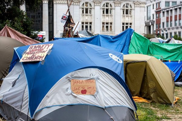occupy2