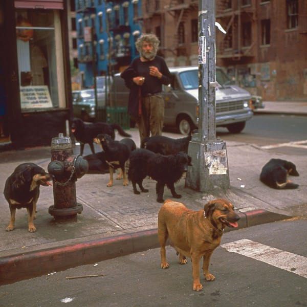 Dogman, E.10th St & Ave. C, 1983. Photograph by Philip Pocock.