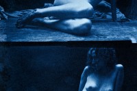 cyanotype diptych by Hal Hirshorn