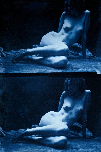 cyanotype diptych by Hal Hirshorn