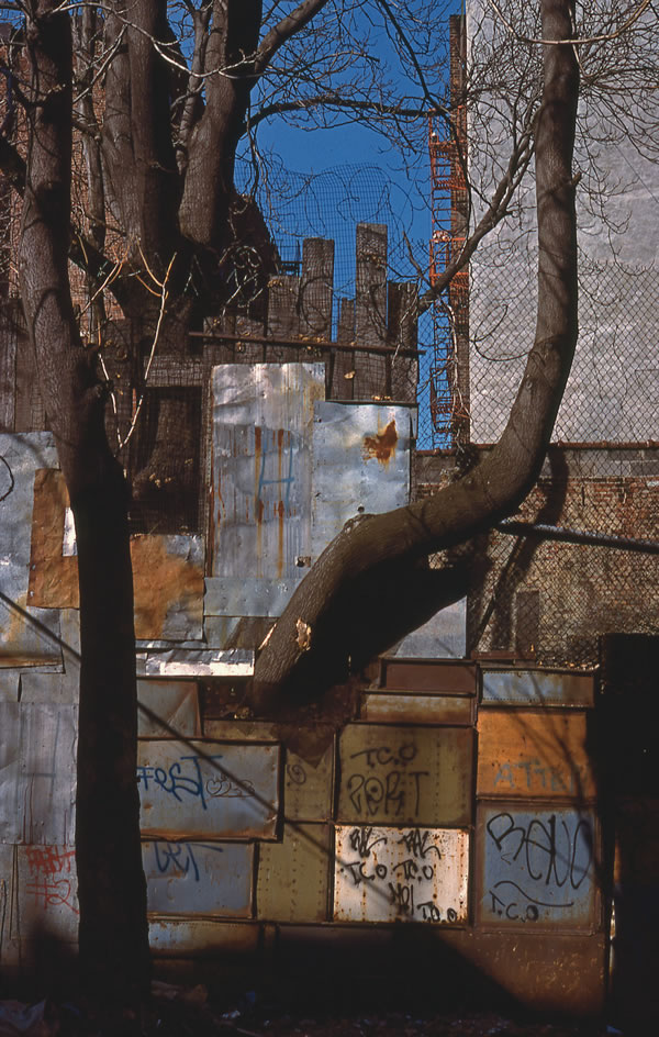 Limb, E. 10th St., Ave. B & C, 1980, photograph by Philip Pocock